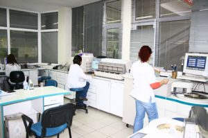 Maltepetipmerkezi5