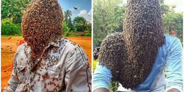 60 bin arıyı kafasında tuttu, rekorlar kitabına girdi