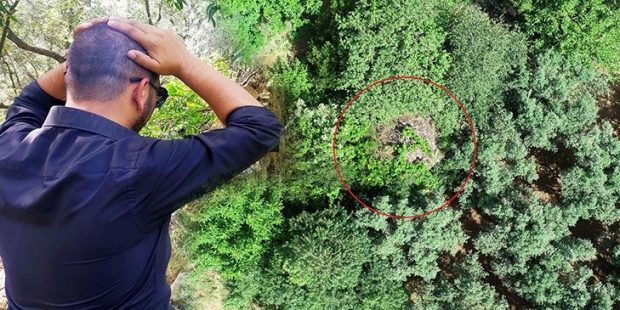 600 yıllık hamam zeytin ağaçlarının arasında kaldı!