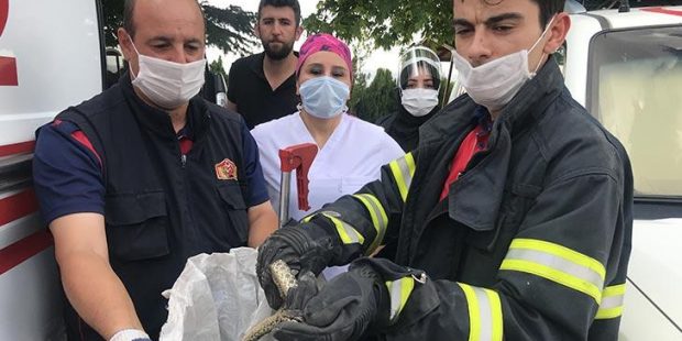 Ambulansın tekerine dolanan yılanı itfaiye çıkardı!