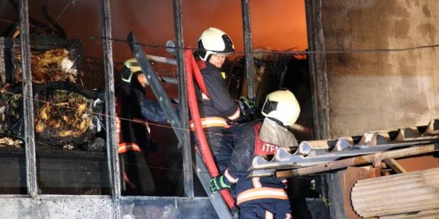 Ankara'da mobilya mağazası alev alev yandı