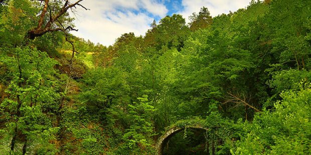 Artvin'de tarihi an! Gün yüzüne çıkarıldı