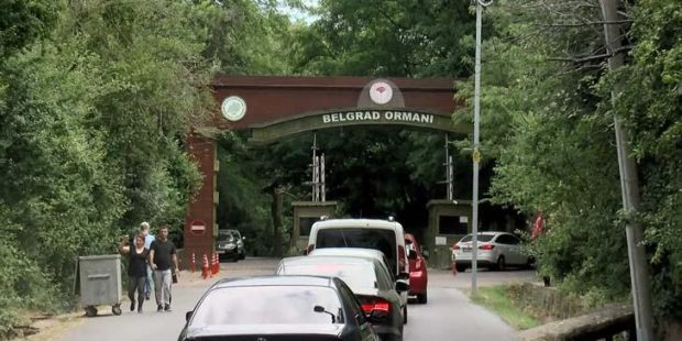 Belgrad Ormanı doldu taştı