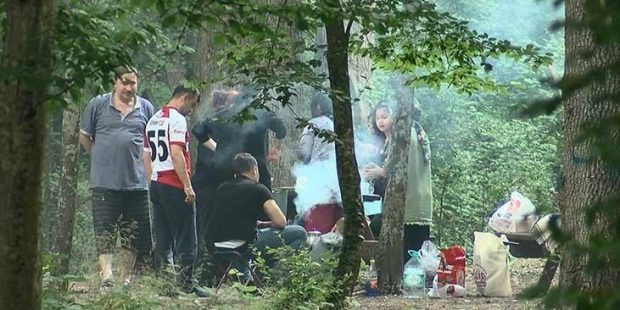 Belgrad Ormanı'na piknikçi akını