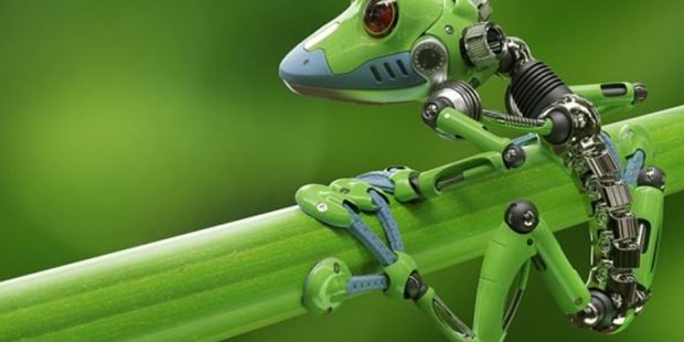 Biyoloji ile robotik bir araya geliyor: Xenobots