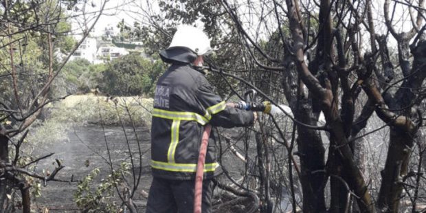 Bodrum'da çıkan yangında 5 dönüm zeytinlik zarar gördü