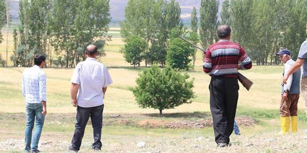 Çorum'da jandarma ve avcılar "aslan" izi sürecek