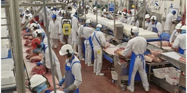 Et fabrikasında koronavirüs şoku: Yüzlerce kişi pozitif çıktı