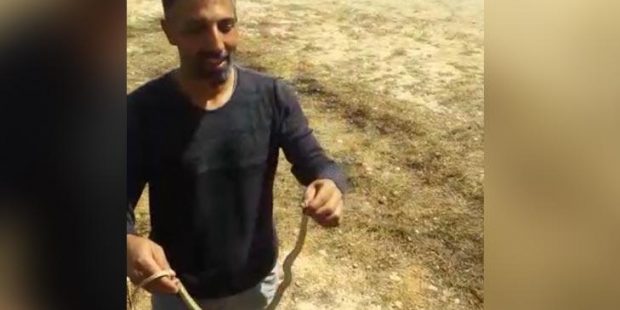 Evinde yakaladığı yılanı doğaya bıraktı!