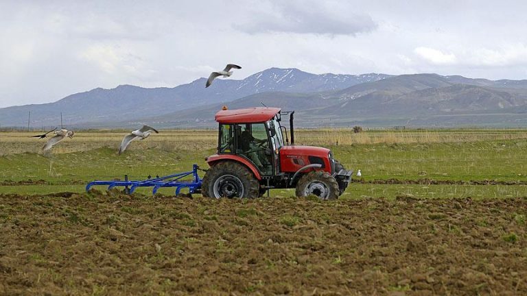 Güneydoğulu üretici ÇKS'nin önemini Kovid-19 sürecinde daha iyi anladı