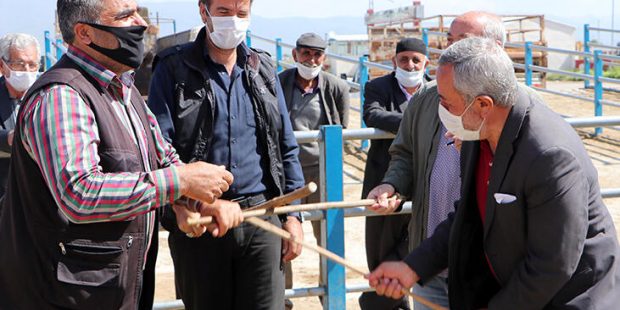 Hayvan pazarında el sıkışma yerine 'sopalı pazarlık' dönemi