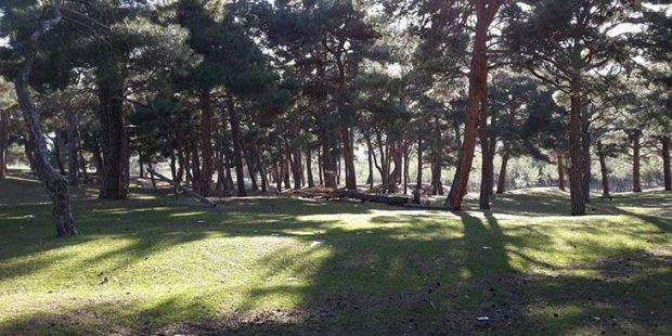 Kütahya'da bir köye corona virüs karantinası!