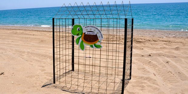 Manavgat'ta deniz kaplumbağası yuvalarına çitli koruma