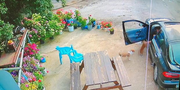 Muğla'da ilginç olay! Sevecekmiş gibi yanına çağırdı olanlar oldu