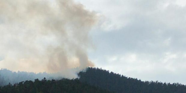 Ormanlık alana düşen yıldırım sonrası yangın çıktı