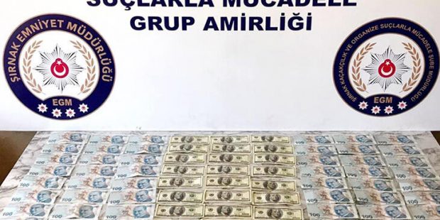 Son dakika... Şırnak'ta 'kaçakçılık' operasyonu: 33 gözaltı