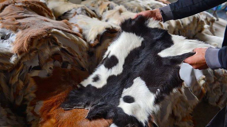 THK'nin deri satış ihaleleri 22 Haziran'da başlayacak