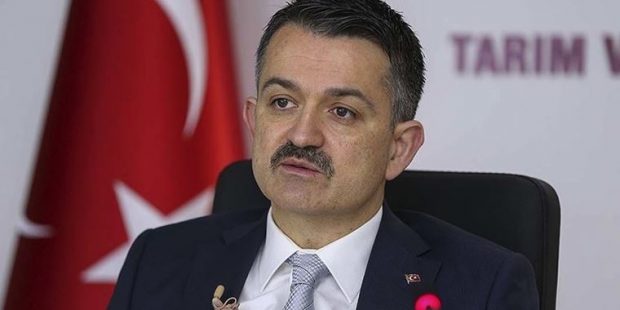 ureticilere-destek-odemesi-bugun-baslayacak-muBp3p3z.jpg
