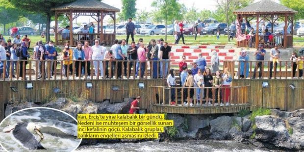 Yine Van yine taziye! Mahalleye karantina