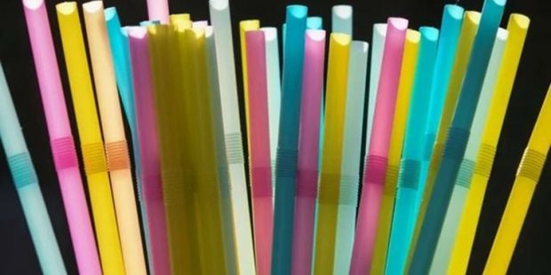 Almanya 'kullan-at' kültürüne son vermeyi hedefliyor