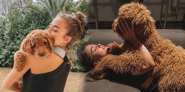 Bensu Soral'ın köpek sevgisi