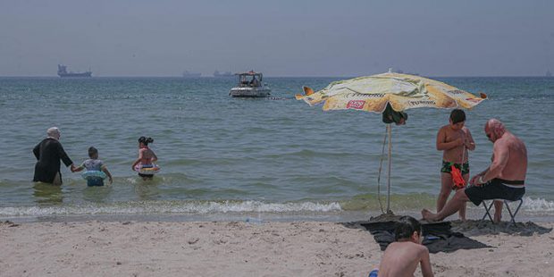 Caddebostan ve Menekşe plajlarında yosunlar kirlilik sinyali