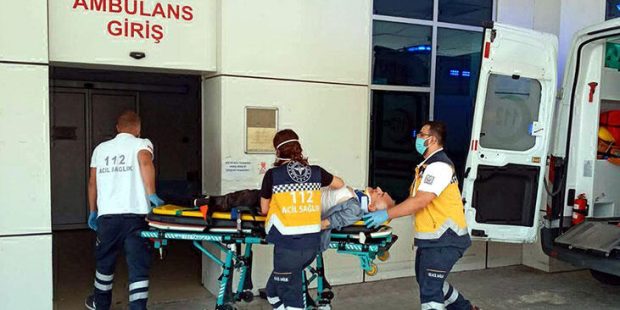 Erik topladığı ağaçtan düşerek öldü
