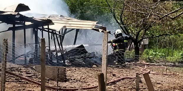 Hayvanlarını kabul etmeyen akrabasının ahırını yaktı