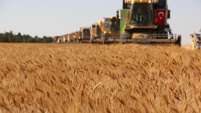 Hazinenin atıl durumdaki 2,2 milyon metrekare arazisi tarıma açıldı