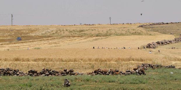 İki ailenin kanlı kavgası! Ölü ve yaralılar var