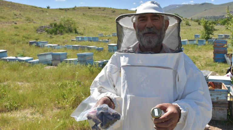 Niğde'de bal rekoltesinde artış bekleniyor
