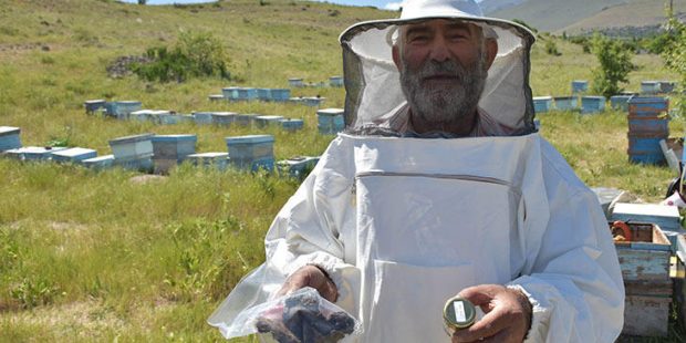 Niğde'de bal rekoltesinde artış bekleniyor