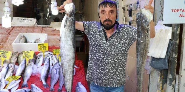 Somonun kilosu 20 liraya düştü! İşte balık fiyatları