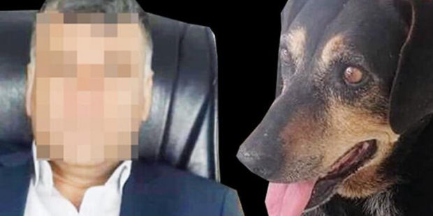 Son dakika... Bunu yapan insan olamaz! Bir ay boyunca köpeğe işkence ve tecavüz...