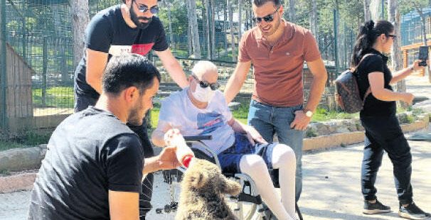 Yavru ayı besledi