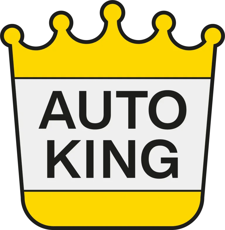 Auto King Maltepe E5 Oto Ekspertiz logo