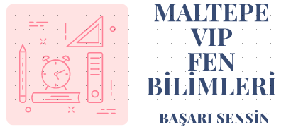 Maltepe Vip Fen Bilimleri logo